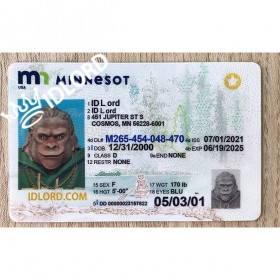 Minnesota scannable card