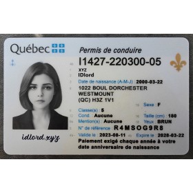 Quebec Fake Dirvers Licence